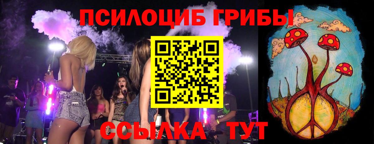 Галлюциногенные грибы Psilocybine cubensis  Псилоцибиновые грибы GOLDEN TEACHER  Вход с VPN  сколько стоит  Трёхгорный 
