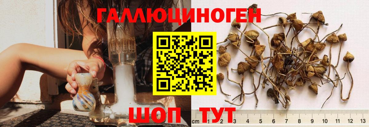 Псилоцибиновые грибы мицелий Трёхгорный